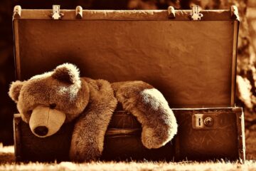 Brown Teddy Bear in Old Fashioned Suitcase