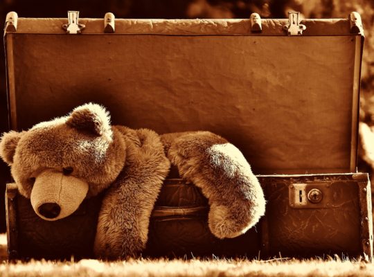 Brown Teddy Bear in Old Fashioned Suitcase